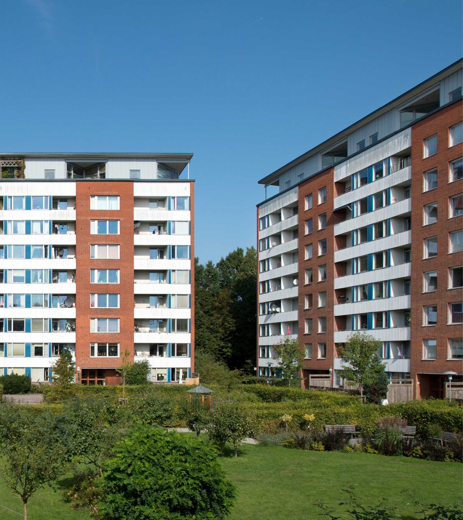 Bud på en grönskande innergård med två husfasader i bakgrunden